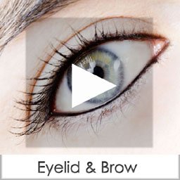 eyelid & brow copy
