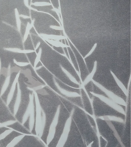 A close-up texture featuring a light gray, textured surface with faint, white, abstract outlines of leafy branches.