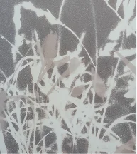 A close-up texture or background image featuring an abstract, low-contrast pattern of plant or leaf silhouettes on a dark gray background.